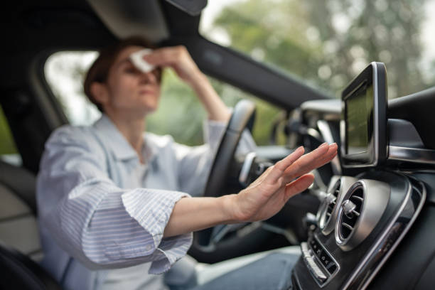 Best Air Quality Test  in Thonotosassa, FL